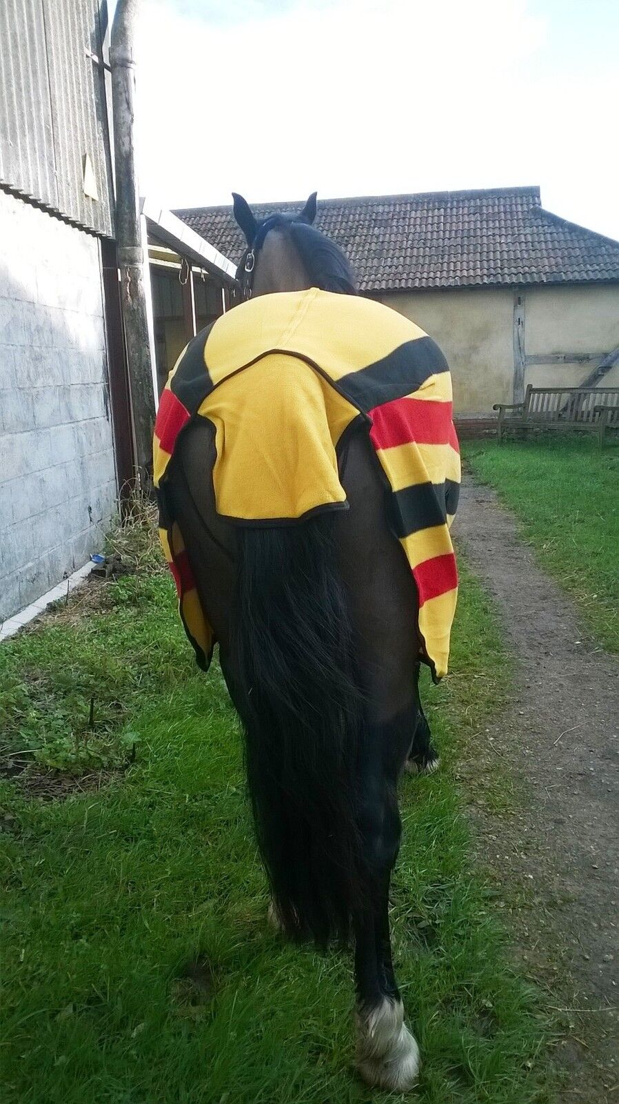 CWELL EQUINE HORSE COB PONY NEW MARKET STRIPE SHOW TRAVEL FLEECE RUG 5'0"- 7'0