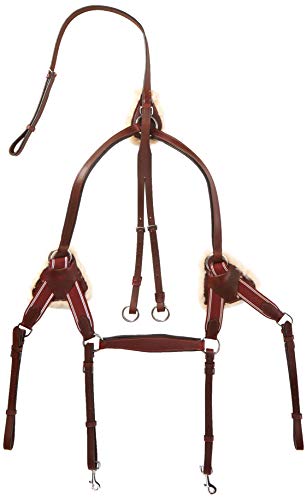 Cwell Equine New Leather 5 Point Breastplate + Martingale CHERRY Brown, XFull/Full/Cob/Pony