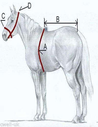 6571136