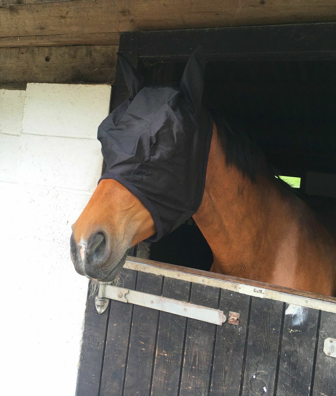 NEW SHETLAND/HORSE/COB/PONY MESH FLY MASK HOOD WITH EARS  BEST SELLER BARGAIN
