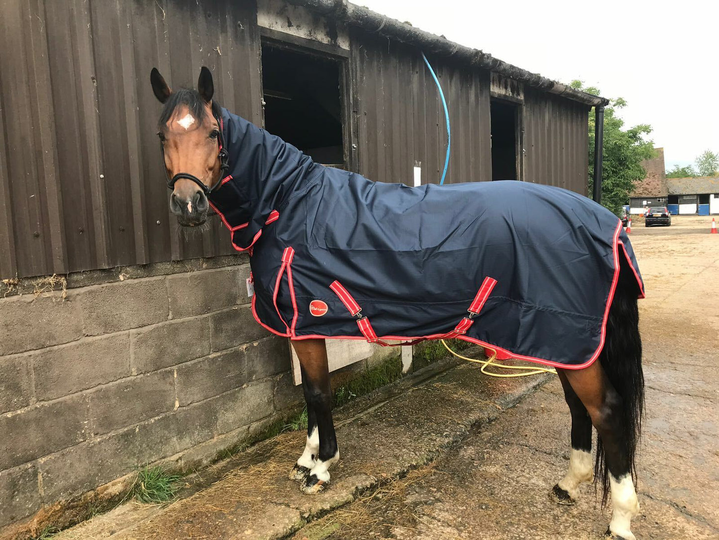 Cwell Equine NAVY Lightweight Full Combo Attached Neck Outdoor Turnout Rug 0 gm