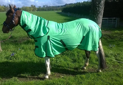 3 DAY SALE  New Design Horse fly rug combo attached neck cover Choice of colors