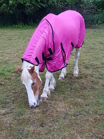 Cwell Equine Horse/Cob/Pony fly rug combo attached neck cover Pink 5'0"- 7'0"