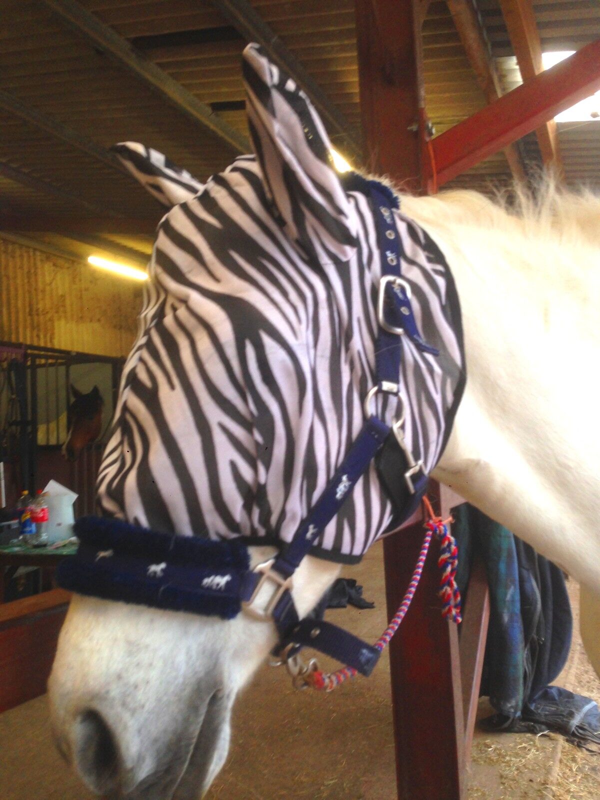 2 DAYS SALE HORSE/COB/PONY MESH FLY MASK HOOD ZEBRA PRINT BEST SELLER  FREE P/P