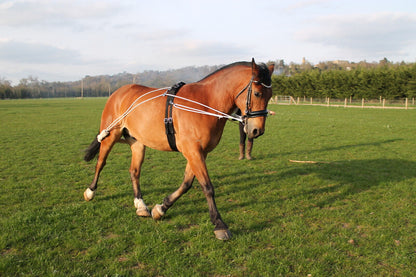 Pferd Trainingshilfe Pessoa auf der Grundlage Schwarz Braun weiß One size on