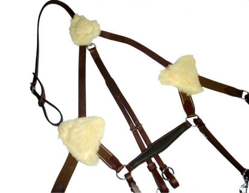New 5 Point Breastplate + Martingale Black & Brown, X Full/Full/Cob/Pony On Sale