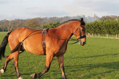 Pferd Trainingshilfe Pessoa auf der Grundlage Schwarz Braun weiß One size on
