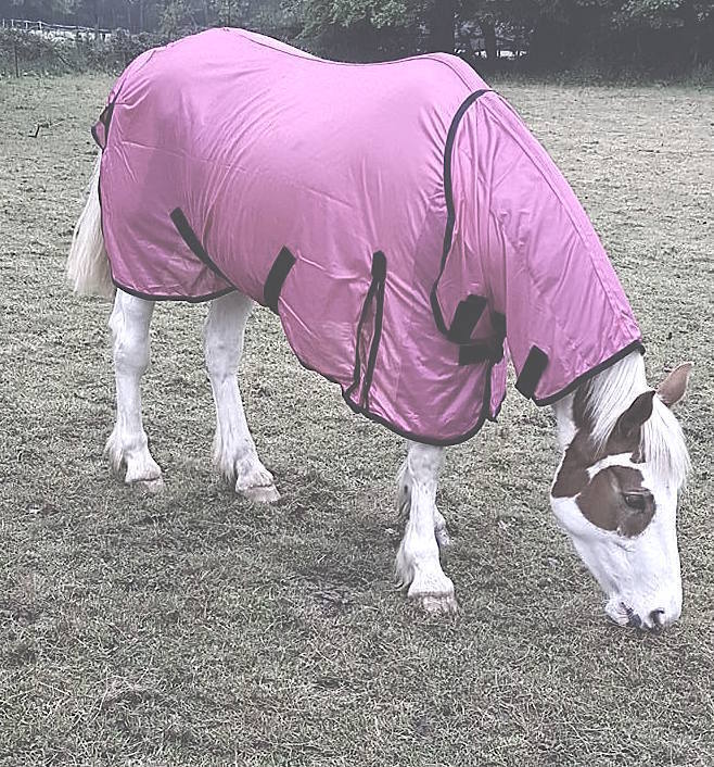 NEW AIR FLOW FOAL/MINI/SHETLAND/PONY FLY RUG SOFT MESH ATTACHED NECK COVER