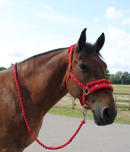 New Mink padded HORSE COB PONY Nylon Halters/Headcollar Horse Print Lead set