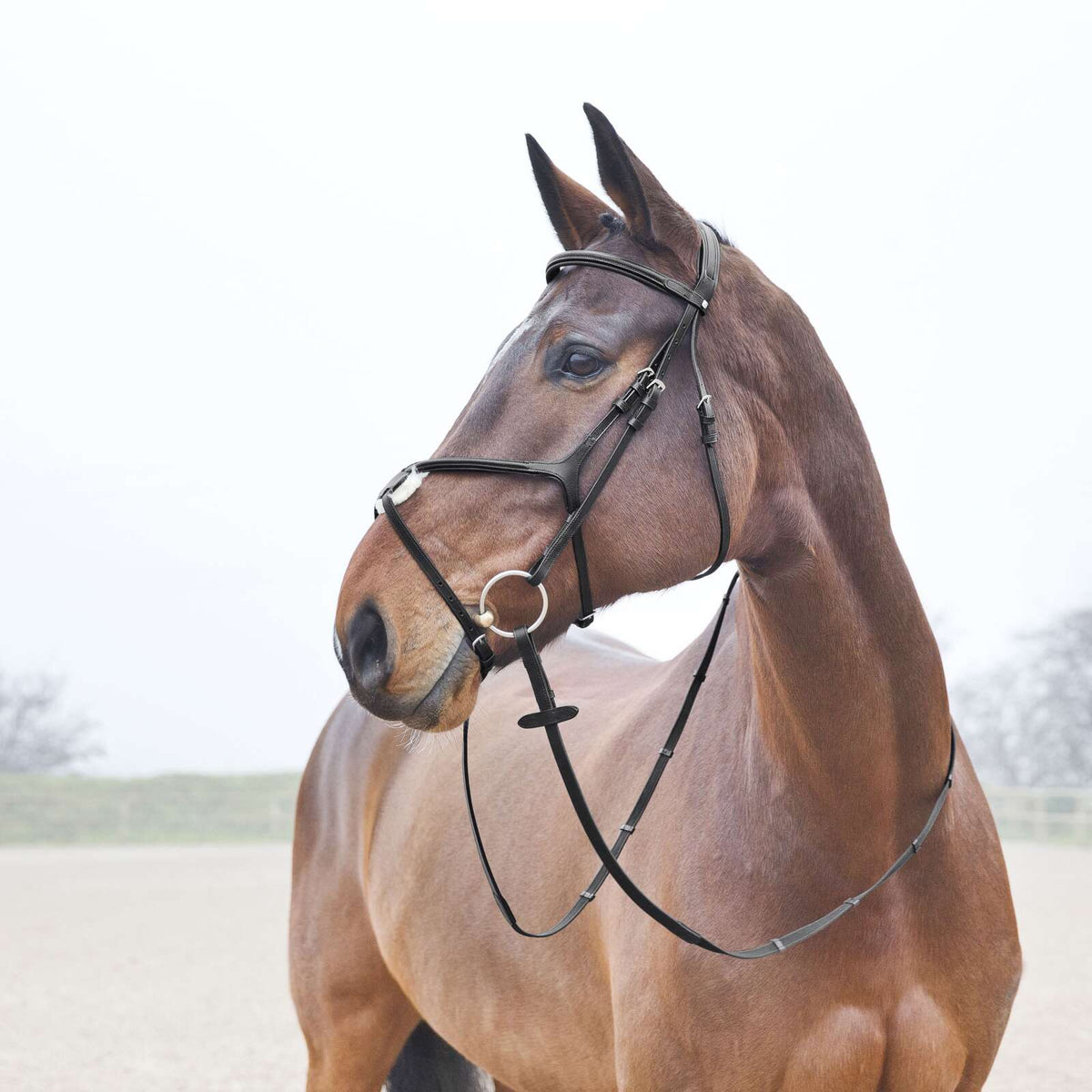 Horze Prescott Cross Noseband Bridle