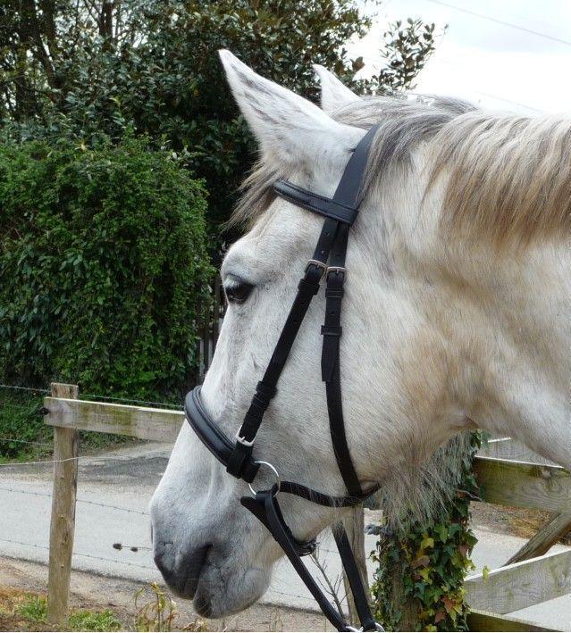 New  ** Cross Over ** Bitless Leather  Bridle with web grip reins - Cob Black