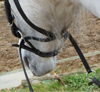 New  ** Cross Over ** Bitless Leather  Bridle with web grip reins - Cob (Brown)
