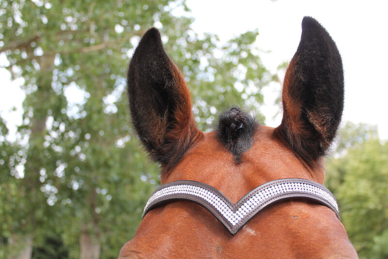 New Designer (V) Shaped * silver * Crystal Browband cob Size - 15 " ( Brown )