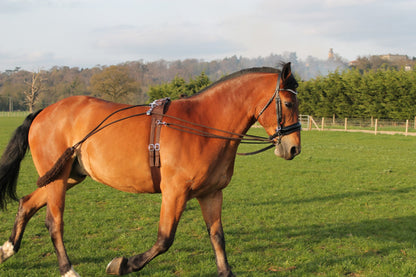 Horse Training aid pe-ssoa based Black,Brown,White one size fits all on sale