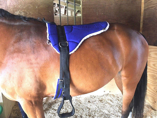Cwell Equine MICRO SUEDE BAREBACK PAD FREE GIRTH AND STIRRUPS SADDLE PAD