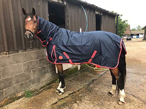 Cwell Equine NAVY Lightweight Full Combo Attached Neck Outdoor Turnout Rug