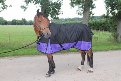 Cwell Equine New LightWeight Black/Purple turnout rug/rain sheet no fill