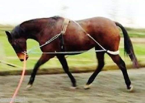 NEW Horse Lunging Training Aid white one size fits all…