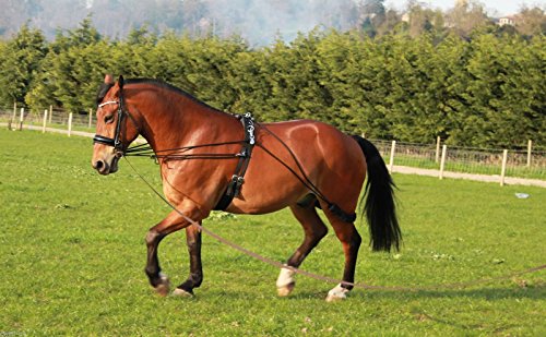 New Horse Training aid Pessoa based Black,Brown,White one size fits all on sale