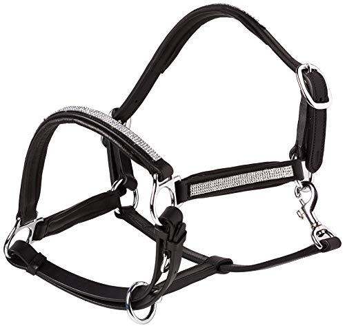 Cwell Equine NEW Leather Halter Padded with SS Buckles 6/8"-Cob, Full, Pony BLACK