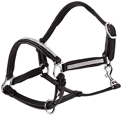 Cwell Equine NEW Leather Halter Padded with SS Buckles 6/8"-Cob, Full, Pony BLACK