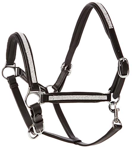 Cwell Equine NEW Leather Halter Padded with SS Buckles 6/8"-Cob, Full, Pony BLACK