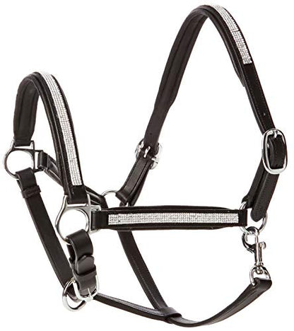 Cwell Equine NEW Leather Halter Padded with SS Buckles 6/8"-Cob, Full, Pony BLACK