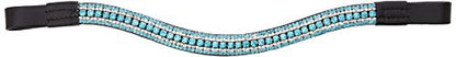 Cwell Equine Quality Leather 5 Row Iridescent, Aquamarine clear crystal bling Browband